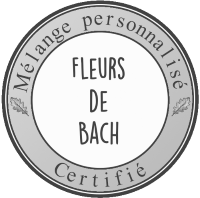 logoBach
